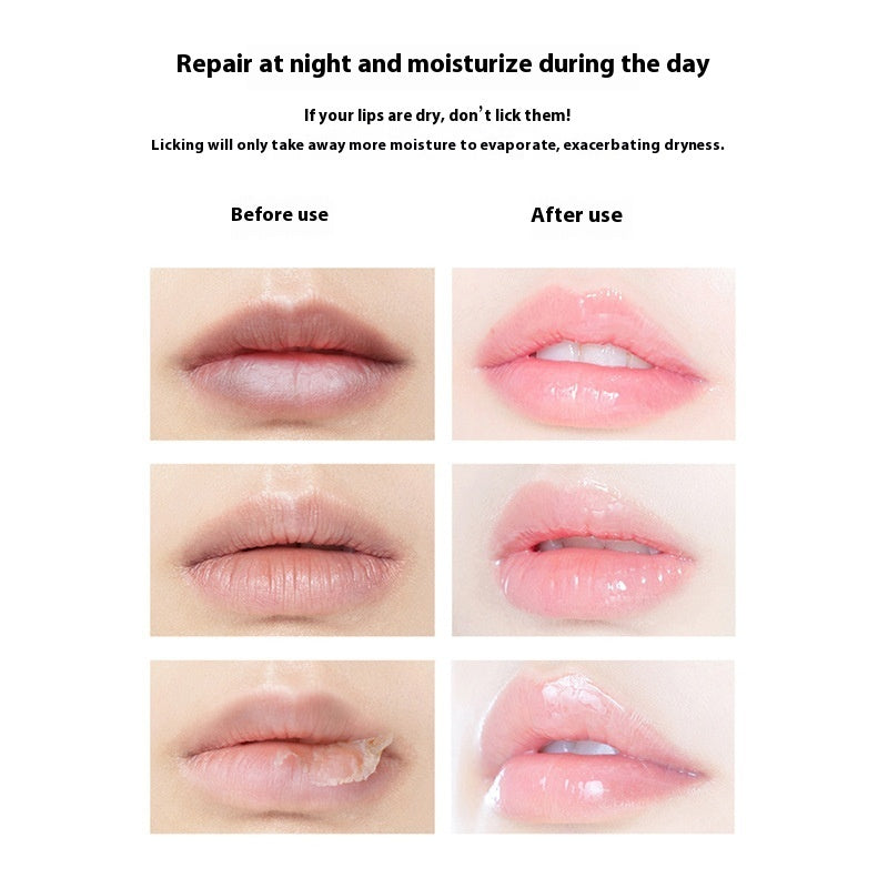 Repairing Sleep Lip Mask Moisturizing